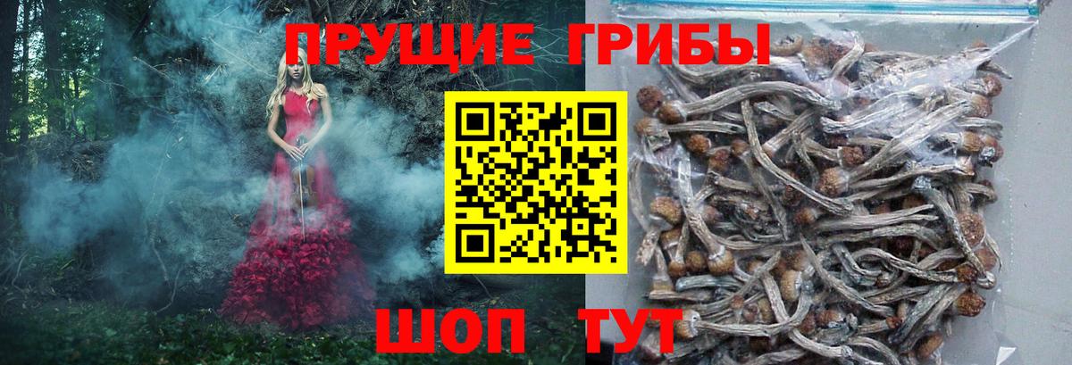 Галлюциногенные грибы мухоморы Чехов