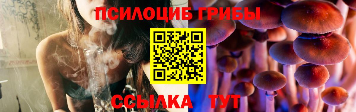 Галлюциногенные грибы Psilocybe  Вход с VPN  Чехов 